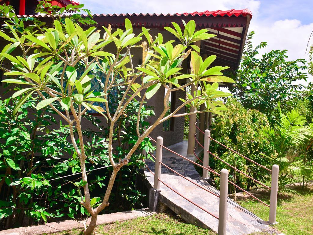 Mass Eco Cabana Yoga & Spa - Unawatuna Exteriör bild